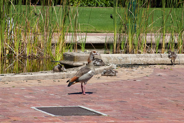 Similar image 2901248