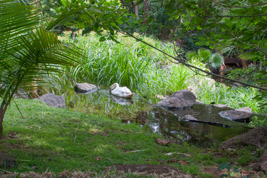 Similar image 2901249