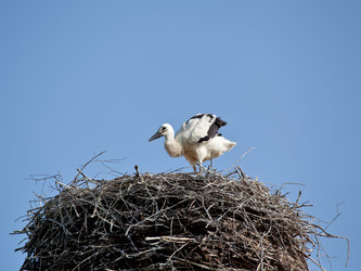 Similar image 2901272