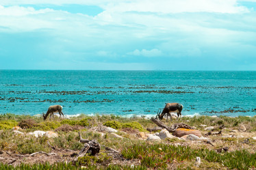 Similar image 2901324