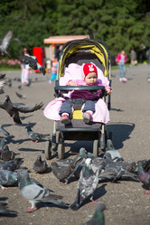 Similar image 2901341