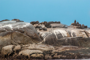 Similar image 2901369