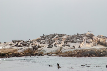 Similar image 2901370