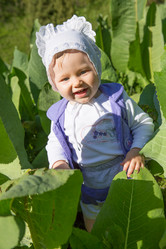 Similar image 2901410