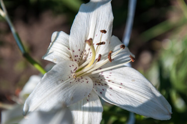 Similar image 2901429