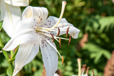 Similar image 2901431