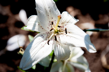 Similar image 2901432