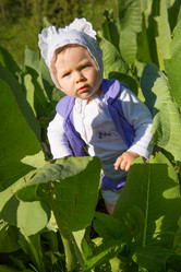 Similar image 2901455