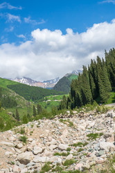 Similar image 2901457