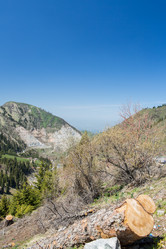 Similar image 2901470