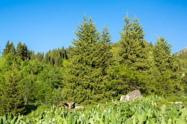 Similar image 2901483