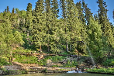 Similar image 2901494