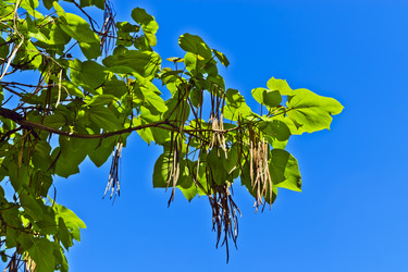 Similar image 2901848