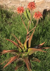 Similar image 2901858