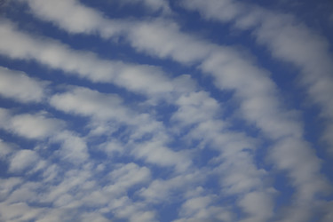 Similar image 2901884