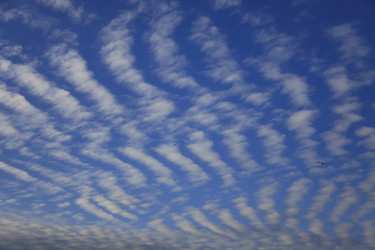 Similar image 2901885