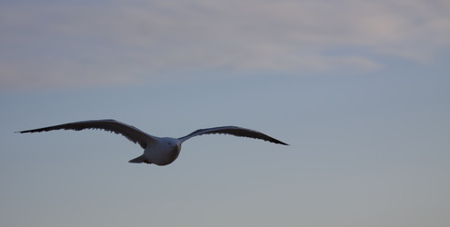 Similar image 2901886