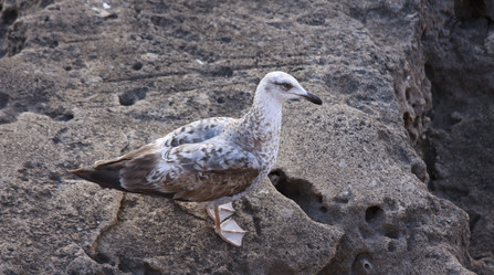 Similar image 2901887