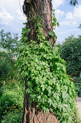 Similar image 2902010