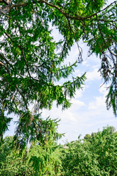 Similar image 2902027