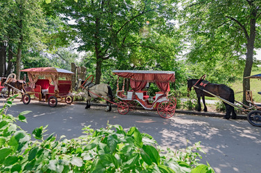 Similar image 2902122