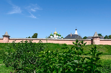 Similar image 2902133