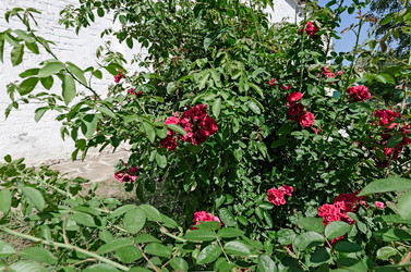 Similar image 2902194