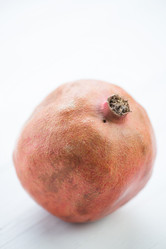 Similar image 2902279