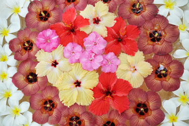 Similar image 2902524