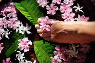 Similar image 2902553