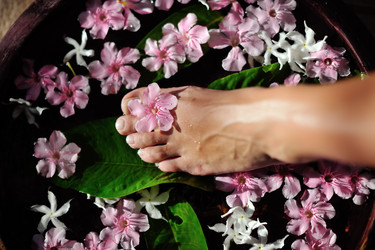 Similar image 2902562