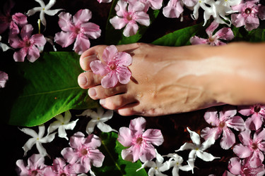 Similar image 2902591