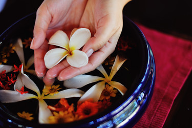 Similar image 2902607