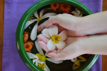 Similar image 2902821