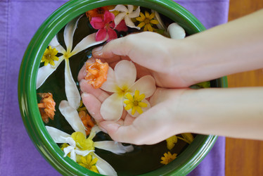 Similar image 2902834