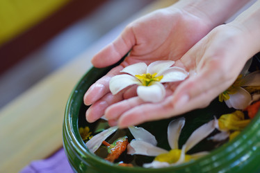 Similar image 2902843