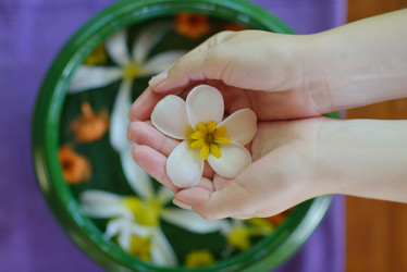 Similar image 2902845