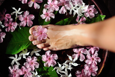 Similar image 2903081