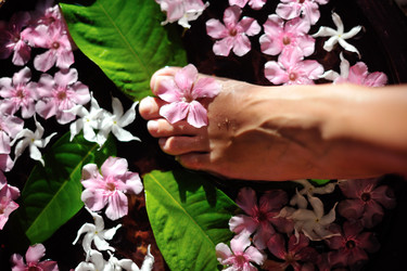 Similar image 2903086