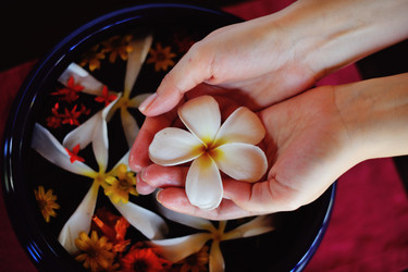 Similar image 2903097