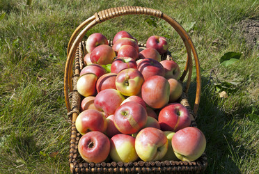 Similar image 2903166