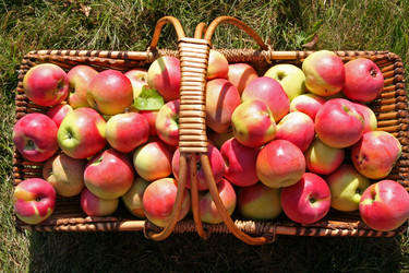 Similar image 2903167