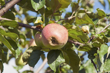 Similar image 2903168