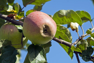 Similar image 2903169