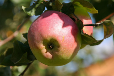 Similar image 2903170