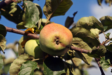 Similar image 2903171