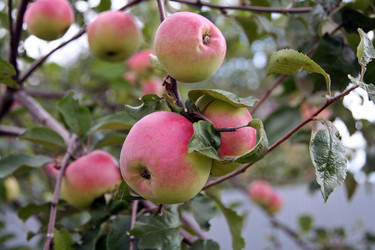 Similar image 2903172