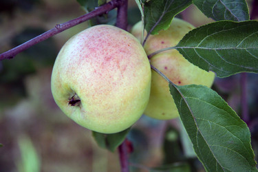 Similar image 2903173