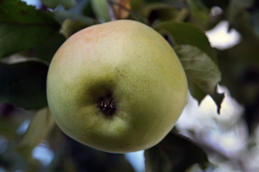 Similar image 2903174