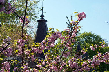 Similar image 2903236